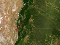 Foto Miris Deforestasi Dunia, Hutan Papua dan Kalimantan Dibabat!