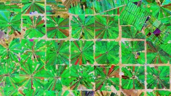 Sejak tahun 2000, Bolivia telah kehilangan 9,5% tutupan pohonnya. Jumlah ini setara dengan sekitar 6,1 juta hektar dan 2,6 gigaton emisi CO2. Gambar di atas dibuat dengan menggabungkan tiga gambar yang diambil oleh satelit Copernicus Sentinel-2 sepanjang tahun 2019 dan menunjukkan dataran rendah Bolivia yang telah diubah menjadi komunitas pertanian sejak tahun 1980-an. Foto: Sentinel-2 via Live Science
