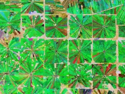 Foto Miris Deforestasi Dunia, Hutan Papua dan Kalimantan Dibabat!