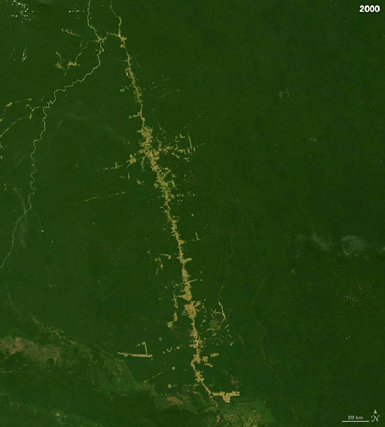 Deforestasi