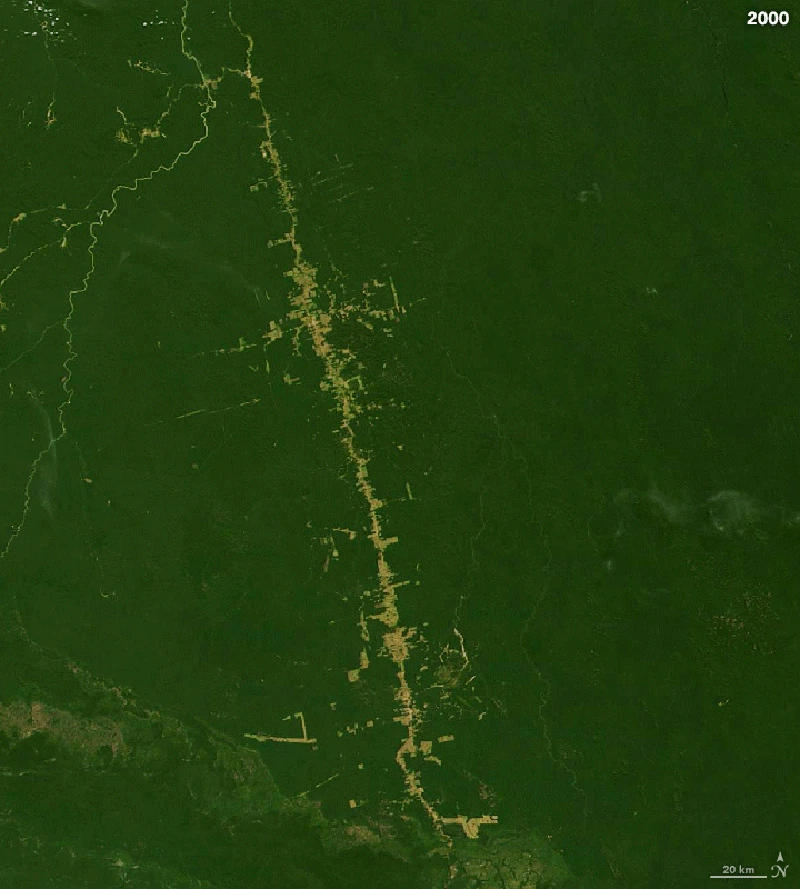Deforestasi
