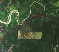 Deforestasi