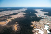Deforestasi