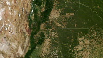 Ini adalah Provinsi Salta, Gran Acho, Argentina tahun 2019. Dibandingkan gambar sebelumnya, tampak area tersebut telah ditebang dan diganti dengan ladang. Foto: via Live Science