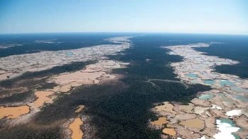 Pemandangan udara deforestasi kimiawi yang disebabkan oleh penambangan liar di wilayah Madre de Dios, Peru tenggara, Amerika Selatan. Madre de Dios mengalami kehilangan hutan dalam jumlah besar akibat penambangan emas ilegal. Antara tahun 2001 hingga 2020, wilayah Madre de Dios kehilangan sekitar 272 ribu hektar tutupan pohon. Foto: Getty Images via Live Science