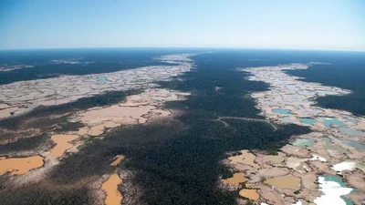 Foto Miris Deforestasi Dunia, Hutan Papua dan Kalimantan Dibabat!