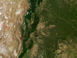 Foto Miris Deforestasi Dunia, Hutan Papua dan Kalimantan Dibabat!