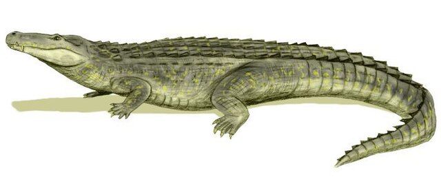 Ilustrasi Purussaurus brasiliensis