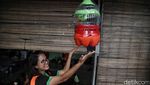 Karya Seni dari Limbah Galon Plastik ala UPS Badan Air