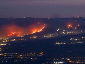 Memanas! Roket Hizbullah Picu Kebakaran Hutan Dahsyat di Israel