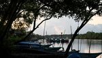 Mengintip Pembangunan di Teluk Bintuni Kini