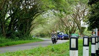 Pembangunan Infrastruktur dimasa Bapa Piet, Teluk Bintuni mengalami peningkatan yang signifikan. Jalan-jalan yang dulunya sulit dilalui kini telah diperbaiki dan diperluas menjadi mulus guna mempermudah akses antar wilayah. Semua dilakukan guna mendukung mobilitas dan aktivitas ekonomi warga.