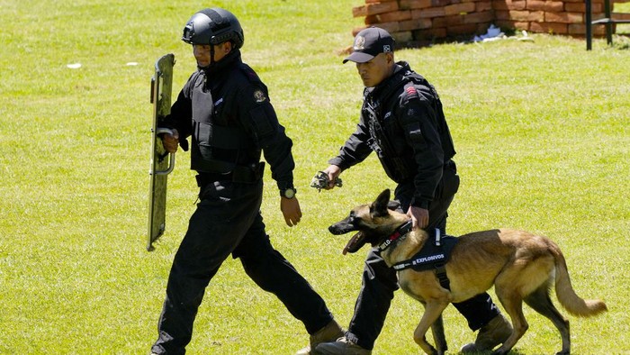 Dayco the dog walks to receive a medal during a ceremony that recognizes the work of dogs that belong to the Counterintelligence Group of the Army in Quito, Ecuador, Monday, June 3, 2024. (AP Photo/Dolores Ochoa)
