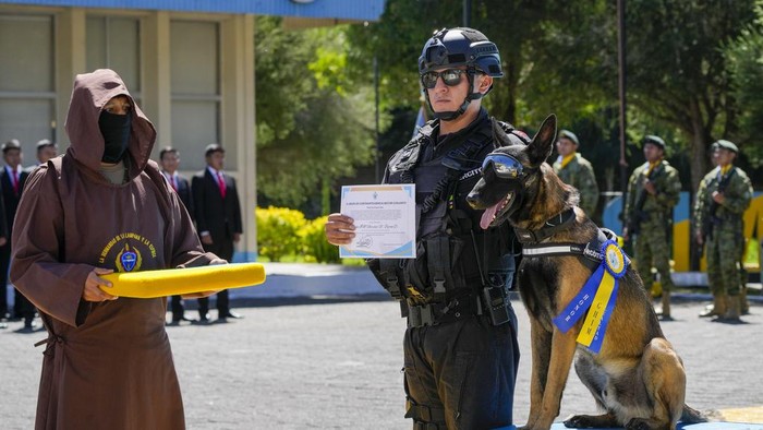 Potret Militer Ekuador Gelar Upacara Penghargaan untuk Anjing Tentara Dayco the dog walks to receive a medal during a ceremony that recognizes the work of dogs that belong to the Counterintelligence Group of the Army in Quito, Ecuador, Monday, June 3, 2024. (AP Photo/Dolores Ochoa)