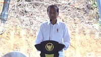 Jokowi Buka-bukaan Harga Tanah di IKN, Besok Bisa Naik!