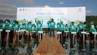 Beginilah suasana penanaman 60.000 bibit mangrove di Pandan, Tapanuli Tengah, Sumatra Utara, Senin (3/6/2024). Dalam rangka Hari Lingkungan Hidup Sedunia sekaligus melanjutkan program sebelumnya, di mana PT Agincourt Resources (PTAR), pengelola Tambang Emas Martabe telah menanam 30.000 bibit mangrove pada tahun 2023 di lokasi tersebut.