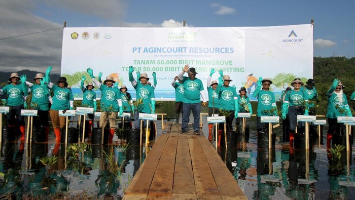 Selamatkan Bumi Tanam 60 Ribu Bibit Mangrove Memperingati Hari Lingkungan Hidup Sedunia pengelola tambang PT Agincourt Resources (PTAR) kembali menanam 60 ribu bibit mangrove untuk selamatkan bumi.