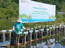 Selamatkan Bumi dengan Tanam 60 Ribu Bibit Mangrove