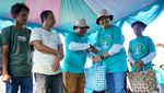 Selamatkan Bumi dengan Tanam 60 Ribu Bibit Mangrove