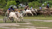 Tradisi yang dilakukan seusai panen padi itu digelar secara bergilir dari desa ke desa.