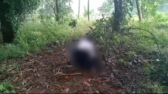 Video memperlihatkan sejumlah siswi SMP melakukan perundungan (bullying) ke siswi SD di Depok viral di medsos. Pihak korban melapor ke polisi. (dok Ist)
