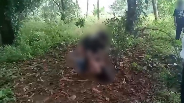 Video memperlihatkan sejumlah siswi SMP melakukan perundungan (bullying) ke siswi SD di Depok viral di medsos. Pihak korban melapor ke polisi. (dok Ist)