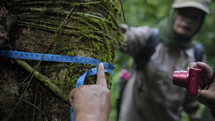Members of a female ranger group mark their position on a GPS device during a forest patrol in Damaran Baru, Aceh province, Indonesia, Tuesday, May 7, 2024. The female-led group of forest rangers are defying social norms to lead patrols in the jungle to combat deforestation. (AP Photo/Dita Alangkara)