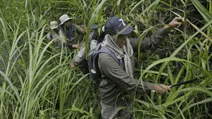 Wanita-wanita Tangguh Penjaga Hutan Aceh