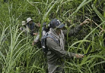 Wanita-wanita Tangguh Penjaga Hutan Aceh