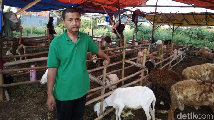 Abdurrohim di lapak hewan kurban miliknya