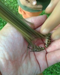 Foto Aksi Unik Hewan Bikin Ngakak