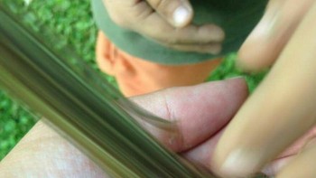 Seseorang Mengabadikan Momen Tepat Saat Katak Ini Melompat Foto: Boredpanda