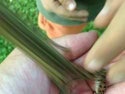 Aksi Unik Hewan Bikin Gemes dan Ngakak