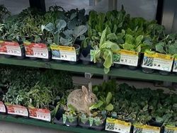 Aksi Unik Hewan Bikin Gemes dan Ngakak