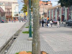 Aksi Unik Hewan Bikin Gemes dan Ngakak