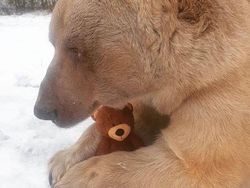 Aksi Unik Hewan Bikin Gemes dan Ngakak