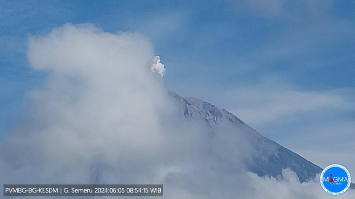 Gunung Semeru erupsi Rabu, 05 Juni 2024, pukul 08:53 WIB dengan tinggi kolom abu teramati ± 500 meter Gunung Semeru erupsi Rabu, 05 Juni 2024, pukul 08:53 WIB dengan tinggi kolom abu teramati ± 500 meter