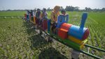 Serunya Naik Kereta Wisata di Atas Sawah