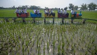 Inovasi ini guna meningkatkan kesejahteraan masyarakat setempat. 