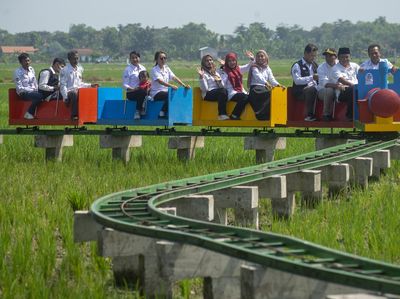 Serunya Naik Kereta Wisata di Atas Sawah