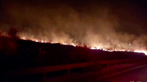 Kebakaran Hutan di Israel Akibat Roket Hizbullah