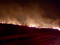 Hutan Israel Terbakar Usai Dihantam Roket Hizbullah