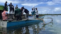 Namun sayangnya, hasil panen budidaya teripang di Taar terbilang masih sangat minim. Seiring dengan ditetapkannya Taar sebagai Desa Budidaya Teripang, KKP memberikan berbagai dukungan untuk menggenjot produksi mulai dari alat transportasi, waring, hingga penyuluh yang kerap mendampingi pembudidaya. 
