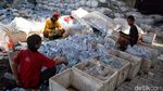 Melihat Penampungan Sampah Botol Plastik di Surabaya