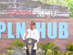 Apkasi Puji Pembangunan Era Jokowi, Singgung IKN hingga Dana Desa