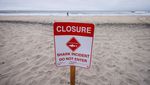 Pantai di California Ditutup Setelah Seorang Perenang Diserang Hiu