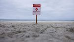 Pantai di California Ditutup Setelah Seorang Perenang Diserang Hiu