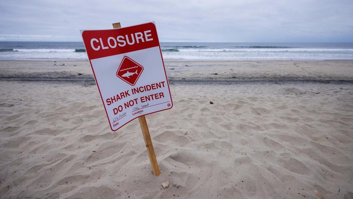 Pantai di California Ditutup Setelah Seorang Perenang Diserang Hiu A posted sign warns swimmers and surfers to keep out of the water as officials keep the beach closed a day following a shark attack on a swimmer in Del Mar, California, U.S., June 3, 2024. REUTERS/Mike Blake
