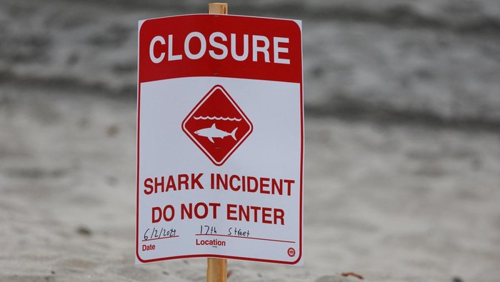A posted sign warns swimmers and surfers to keep out of the water as officials keep the beach closed a day following a shark attack on a swimmer in Del Mar, California, U.S., June 3, 2024.   REUTERS/Mike Blake