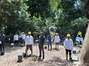 37 Ribu Pohon Ditanam di Aliran Sungai Siak, Upaya Minamas Jaga Kelestarian Alam